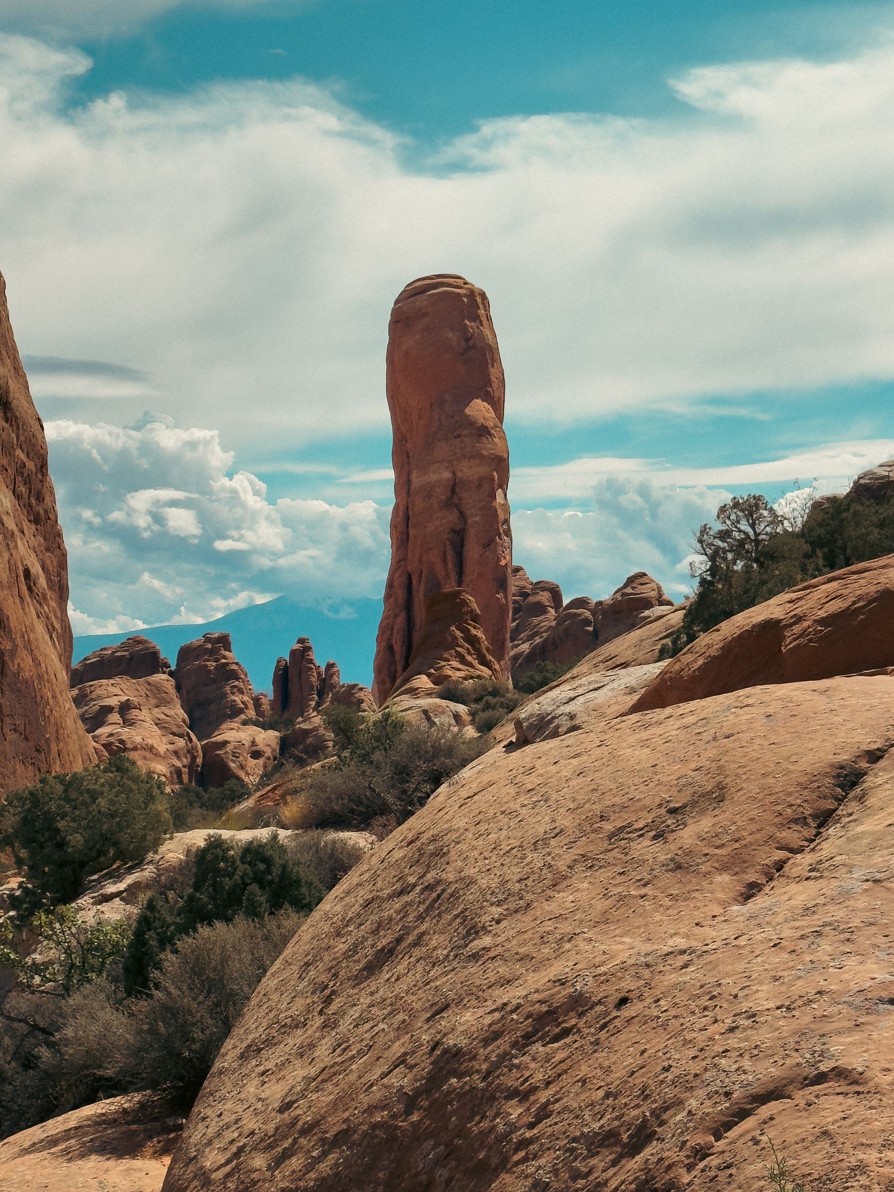 Portrait of Penis Rock